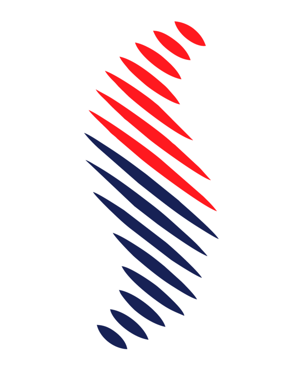 şəkil